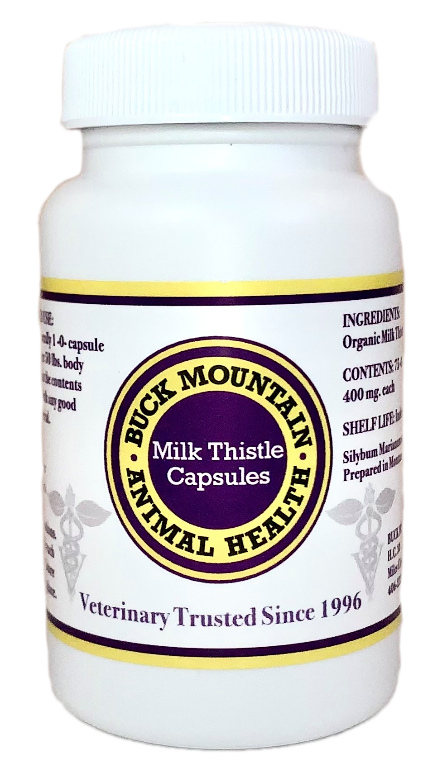 Milk thistle for dogs & cats