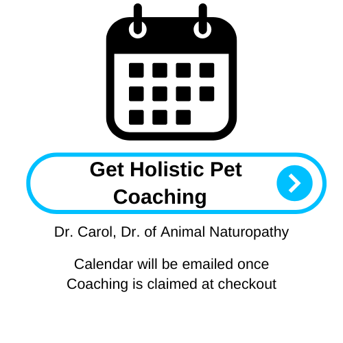 Holistic Pet Care Coaching